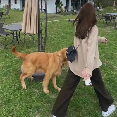 自由的男人